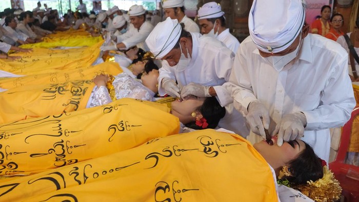 Tradisi Upacara Metatah Di Bali Untuk Potong Gigi