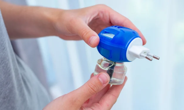 Pengusir Nyamuk Menggunakan Cara Modern Alat Elektrik