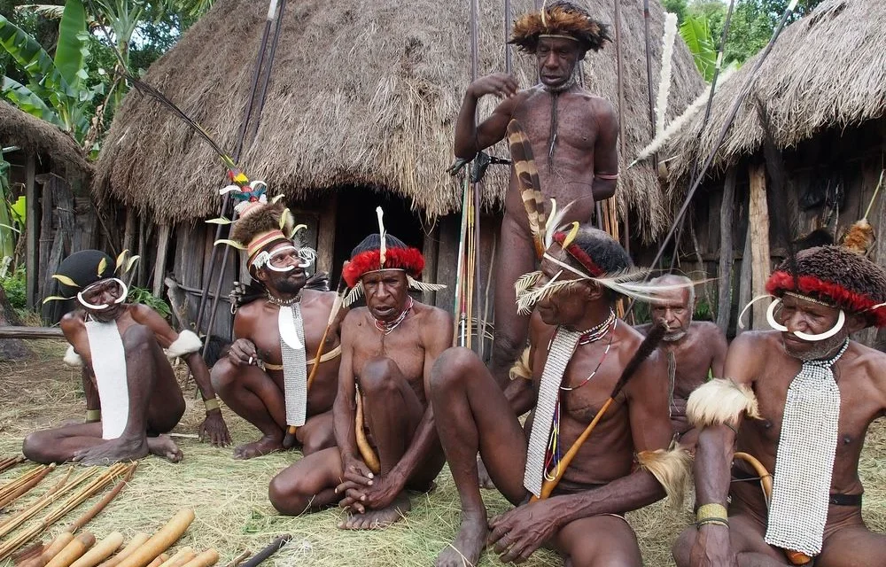 Penutup Tubuh Tradisional Dari Papua Yaitu Koteka