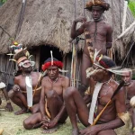 Penutup Tubuh Tradisional Dari Papua Yaitu Koteka