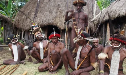 Penutup Tubuh Tradisional Dari Papua Yaitu Koteka