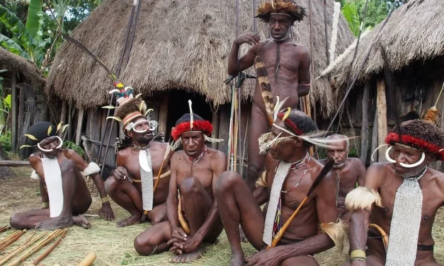 Penutup Tubuh Tradisional Dari Papua Yaitu Koteka