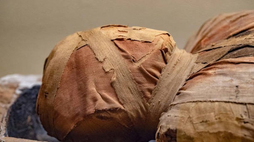 Pengawetan Jenazah Manusia Juga Hewan Sebagai Mumi
