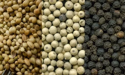 Rempah Pedas Merica Menjadi Bahan Masakan Di Dapur