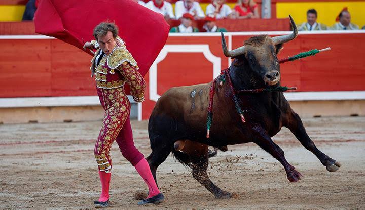 Olahraga Trend Matador Berhadapan Dengan Banteng
