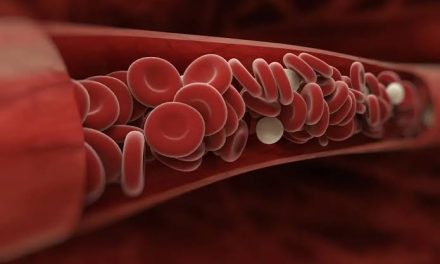 Cairan Merah Darah Yang Ada Dalam Tubuh