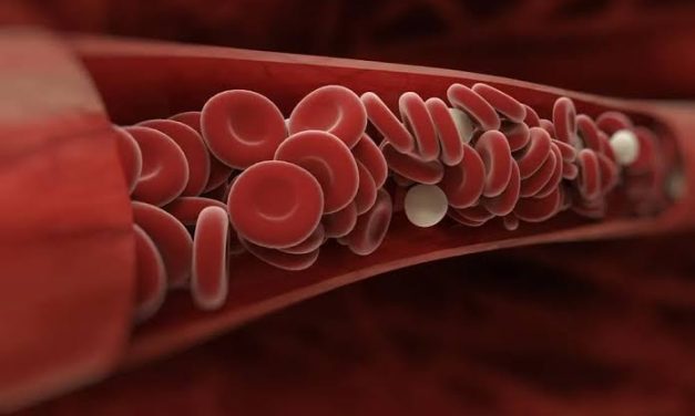 Cairan Merah Darah Yang Ada Dalam Tubuh