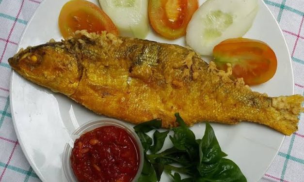 Suatu Masakan Bandeng Jenis Ikan Di Indonesia
